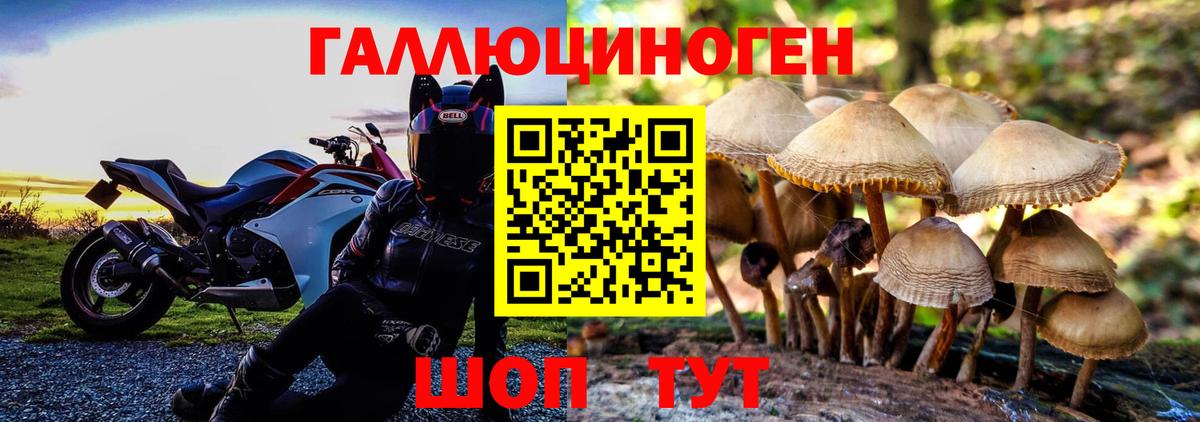 Ипатово  Псилоцибиновые грибы прущие грибы  Вход с VPN 